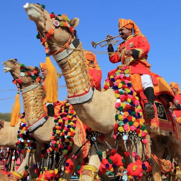Ajmer's Festivals: Celebrating Traditions with Zeal
