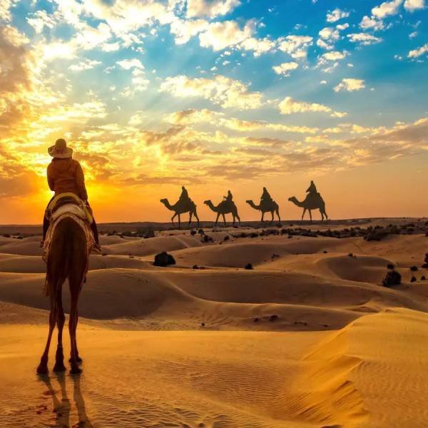 Rajasthan Tour and Travels