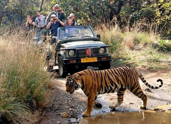 Ajmer to Ranthambore Cab